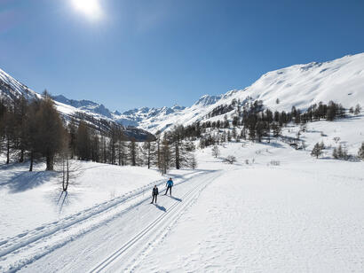 Parcourez les 40 km de pistes de ski de fond de Larche © Ubaye Tourisme