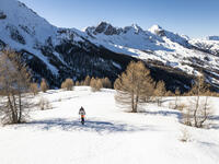 Ski dans la poudreuse au Sauze © UT - Manu Molle